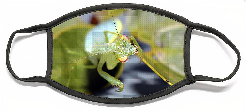 Praying Mantis Face Mask featuring the digital art Praymantis 71 by Kevin Chippindall
