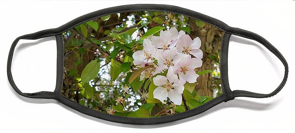 Blossoms Face Mask featuring the photograph Pretty Cluster by Amanda R Wright