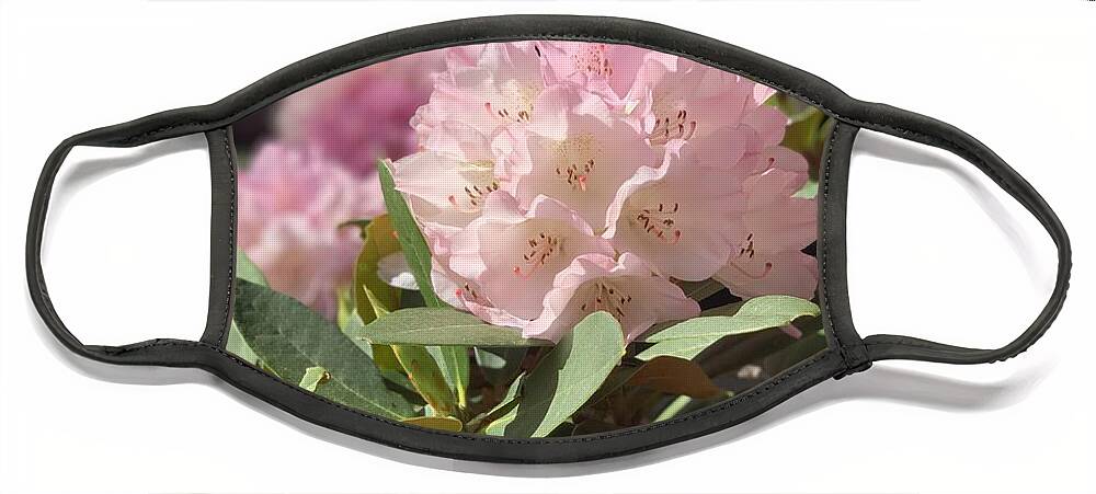 Rhododendron Face Mask featuring the photograph Pretty in Pink by Juliette Becker