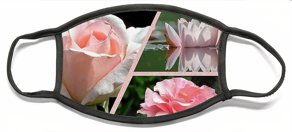 Roses Face Mask featuring the photograph Pretty In Pink by Nancy Ayanna Wyatt