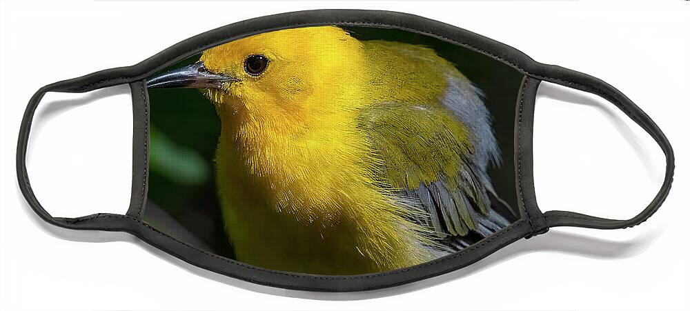 Nature Face Mask featuring the photograph Prothonotary Warbler DSB0396 by Gerry Gantt