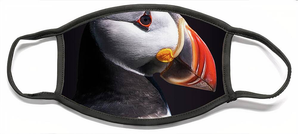 Puffin Face Mask featuring the photograph Puffin portrait by Delphimages Photo Creations