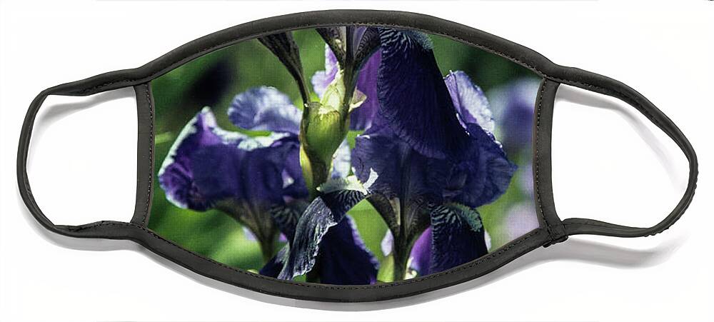 Arizona Face Mask featuring the photograph Purple and Lavender by Kathy McClure
