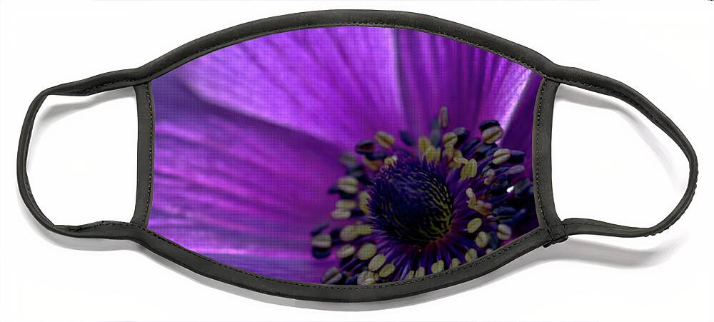 Nature Face Mask featuring the photograph Purple Anemone by Stephen Melia