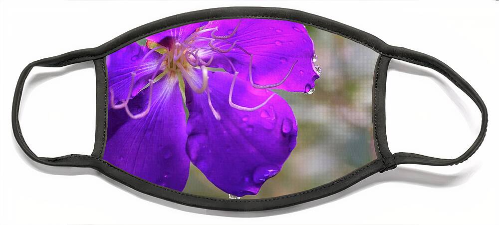 Purple Flower Face Mask featuring the photograph Purple Flower by Mingming Jiang