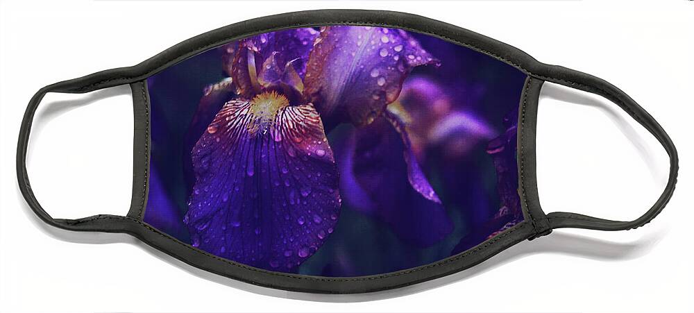 Iris Face Mask featuring the photograph Purple Iris in the Rain by Toni Hopper