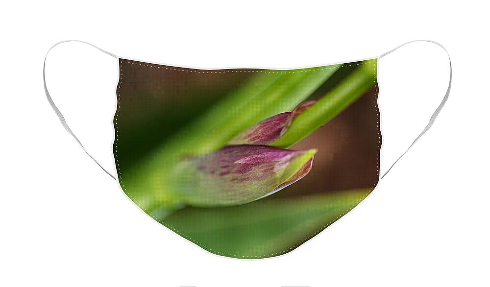 Iridaceae Face Mask featuring the photograph Purple Iris Spathe by Joy Watson