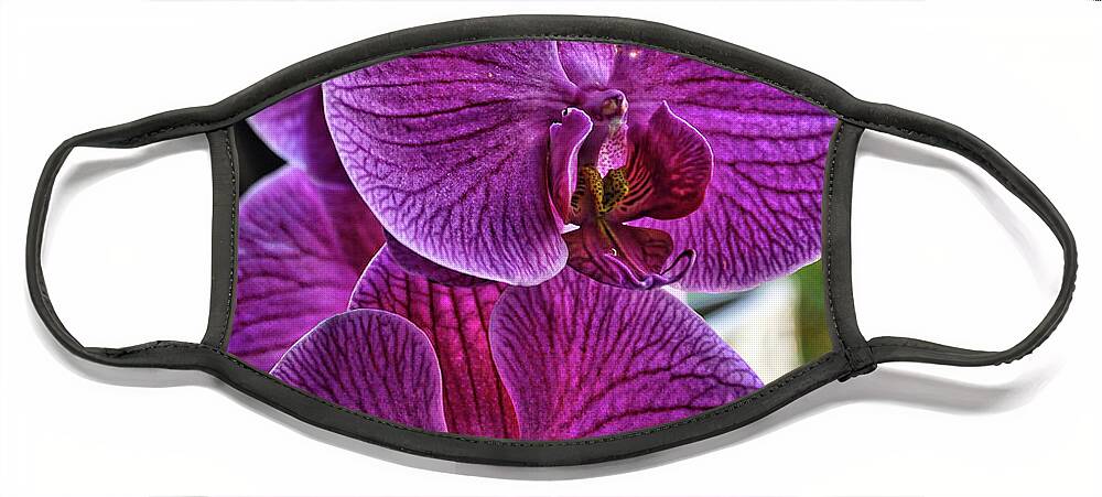 Orchids Face Mask featuring the digital art Purple Orchid Bloom by Kirt Tisdale