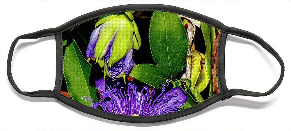 Passion Face Mask featuring the photograph Purple Passionflower by Bill Barber