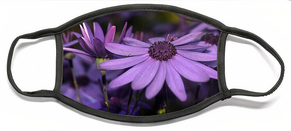 Purple Face Mask featuring the photograph Purple Petals by Kimberly Furey