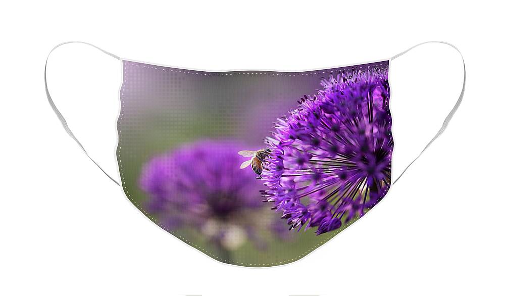  Face Mask featuring the photograph Purple Puff by Nicole Engstrom