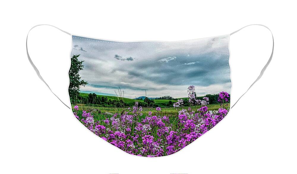 Landscape Face Mask featuring the photograph Purple With A Mood by Pamela Dunn-Parrish