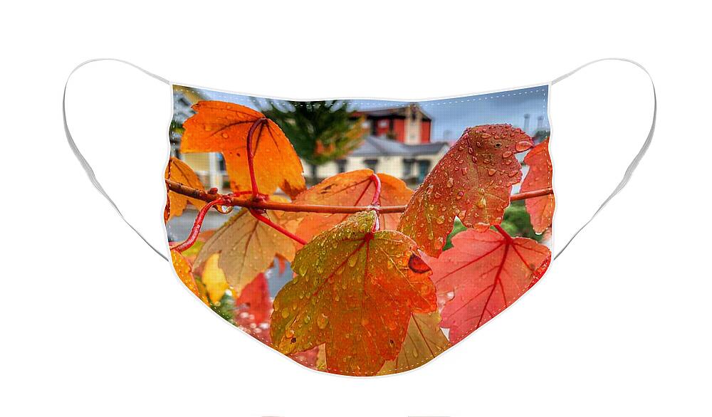 Photography Face Mask featuring the photograph Rain Drops on Fall Leaves by Michael Dean Shelton