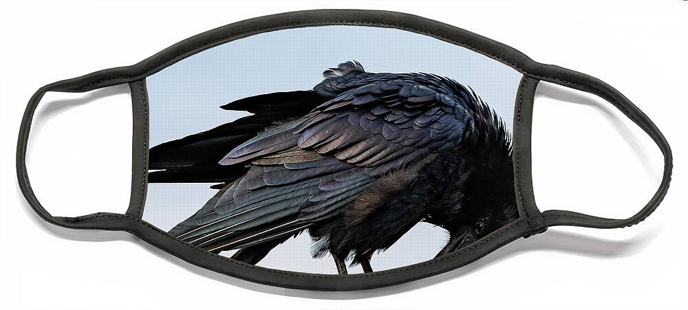 Raven Face Mask featuring the photograph Raven 2 by Mary Hone