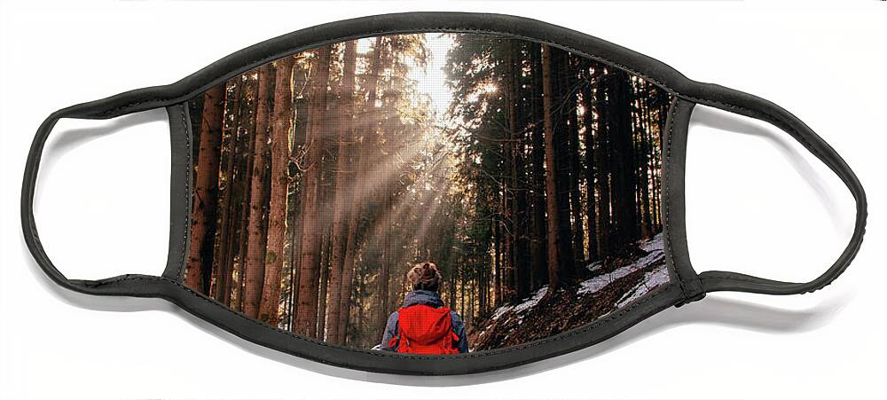 Explorer Face Mask featuring the photograph Rays of the sun streak through the forest by Vaclav Sonnek
