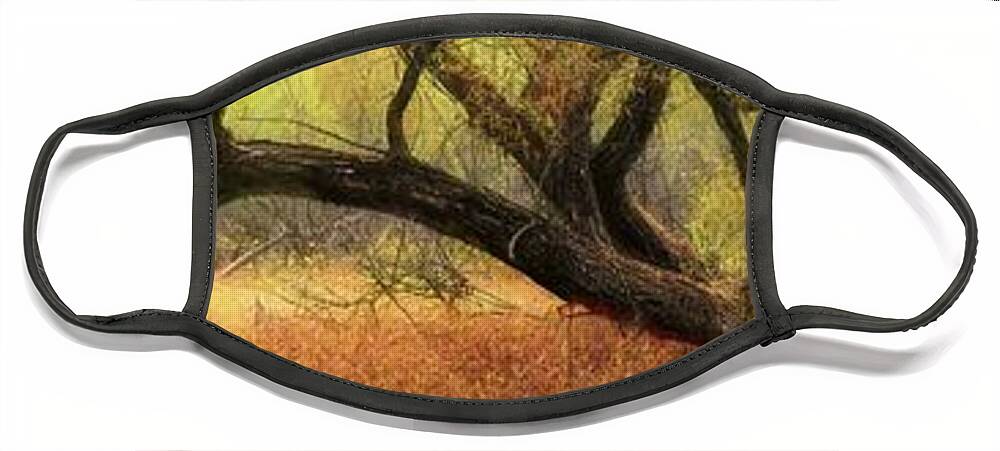 Tree Face Mask featuring the photograph Reaching Out Over the Meadow Painting by Debra and Dave Vanderlaan