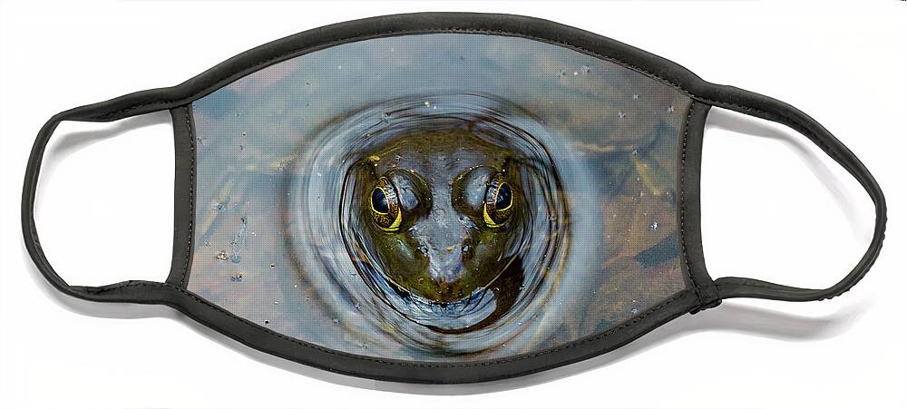 Frog Face Mask featuring the photograph Ready to Leap by Denise Kopko