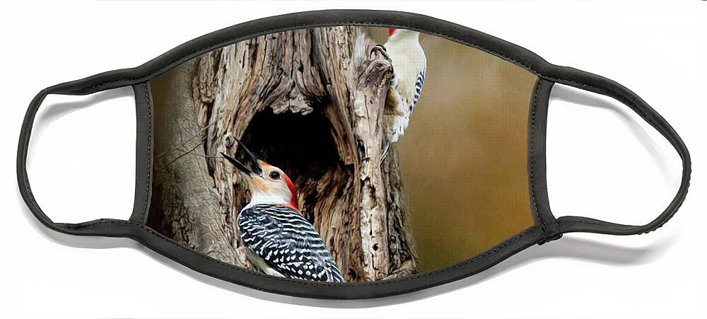 Red Bellied Woodpecker Face Mask featuring the mixed media Red Bellied Woodpeckers by Kathy Kelly