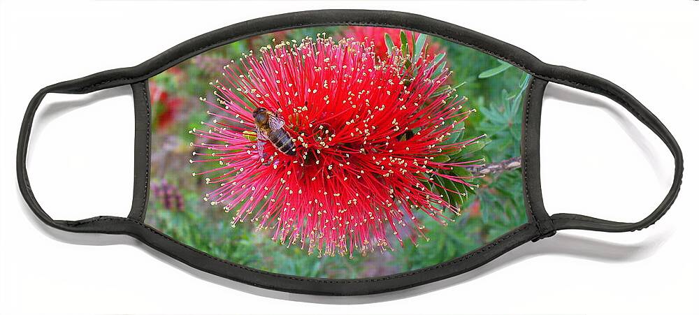 Red Face Mask featuring the photograph Red Bottlebrush Flower by Kathrin Poersch