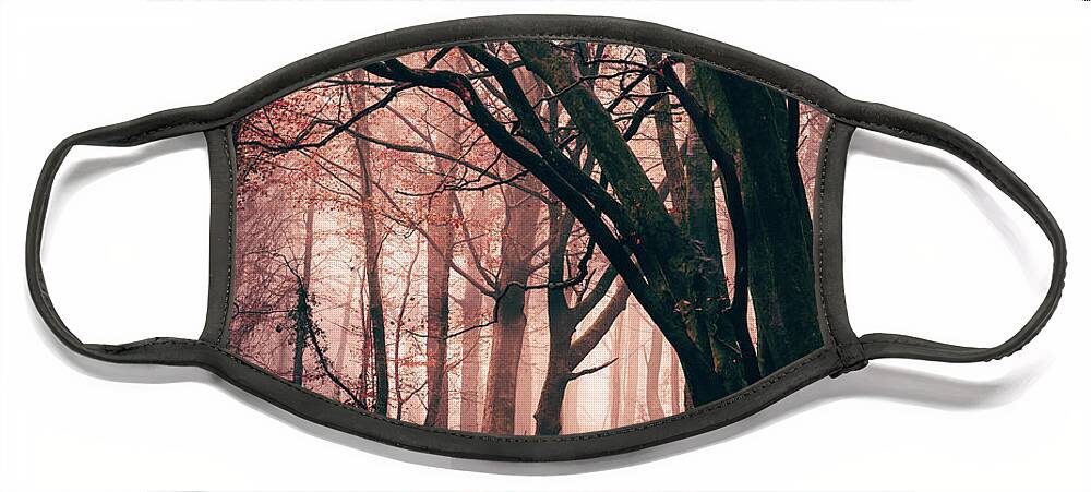Forest Face Mask featuring the photograph Red Forest by Gavin Lewis