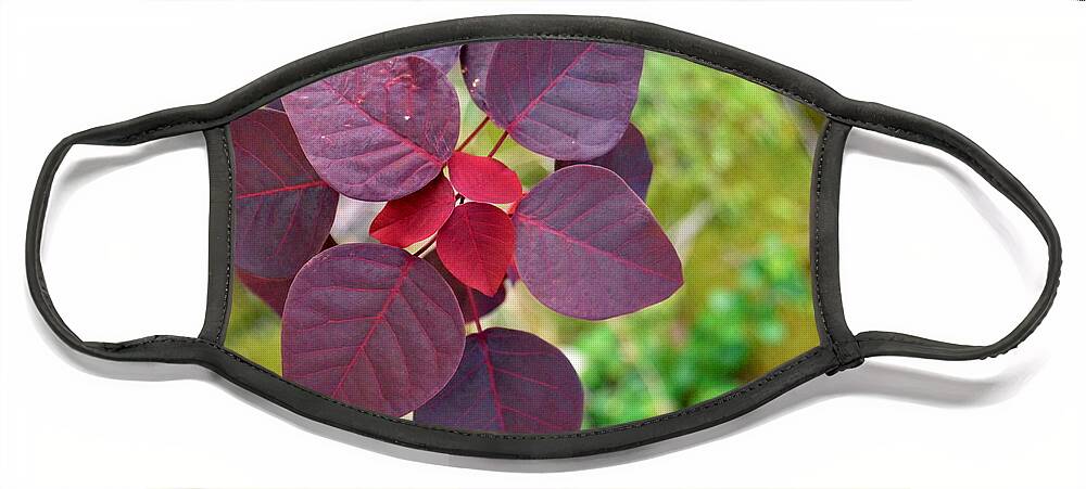 Kauai Face Mask featuring the photograph Red Leaves by Amy Fose