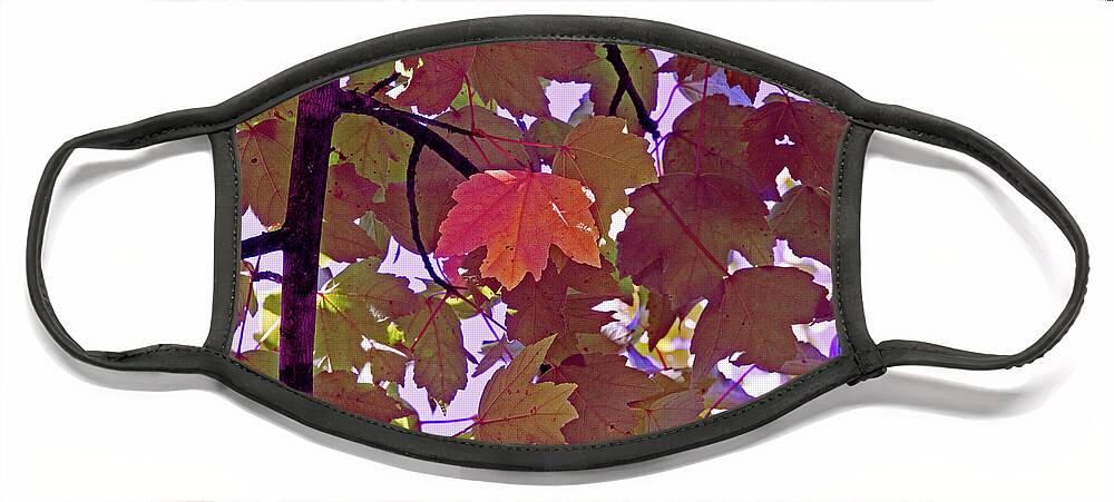 Memphis Face Mask featuring the digital art Red Leaves On Purple by David Desautel