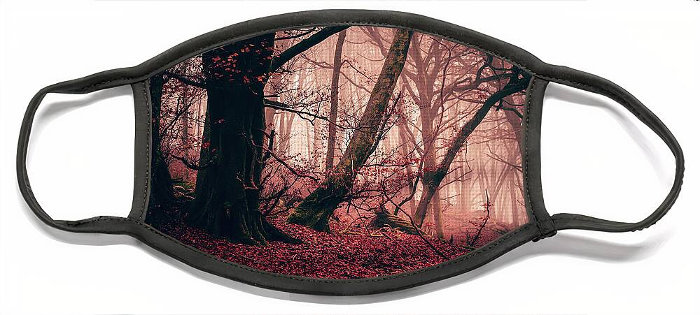 Forest Face Mask featuring the photograph Red Mist by Gavin Lewis