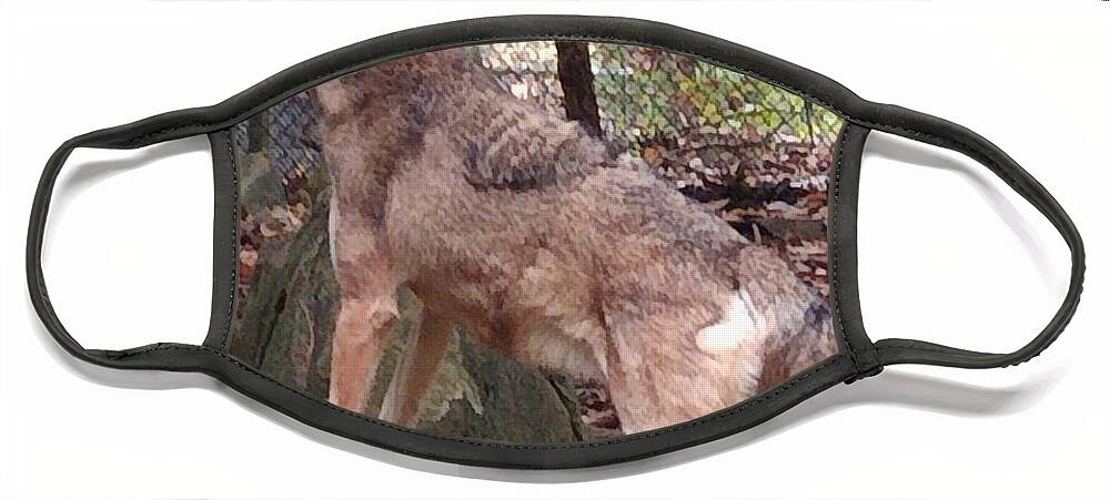 Wolf Face Mask featuring the photograph Red Wolf Asheboro NC Zoo by Kim Galluzzo Wozniak