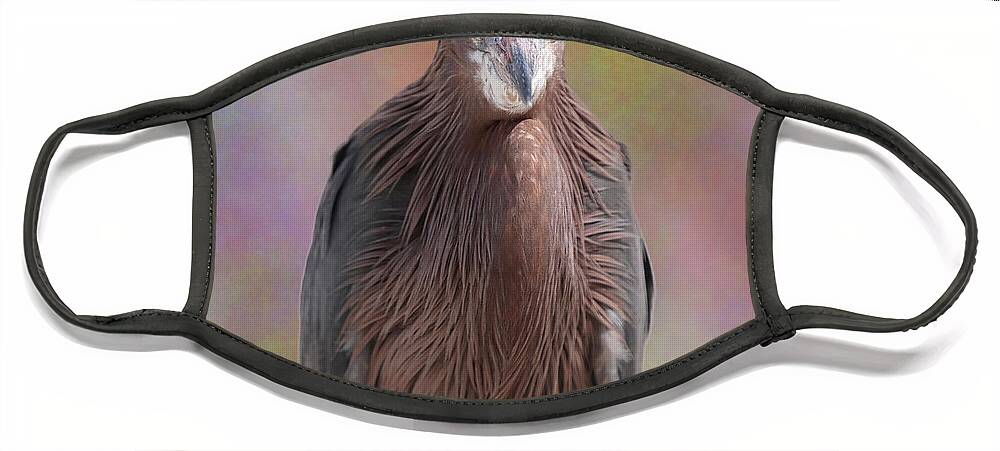 Reddish Egret Face Mask featuring the photograph Reddish Egret 3 by Mingming Jiang