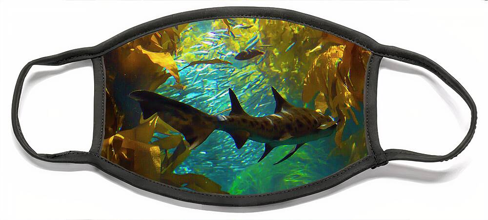 Shark Face Mask featuring the photograph Reef Shark in the Kelp Forest by Bonnie Follett