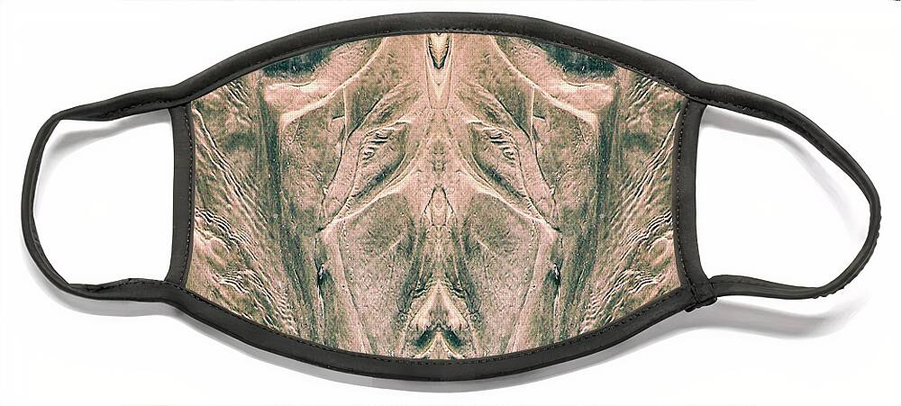 Mirror Image Face Mask featuring the digital art Reflection of Sand by Phil Perkins