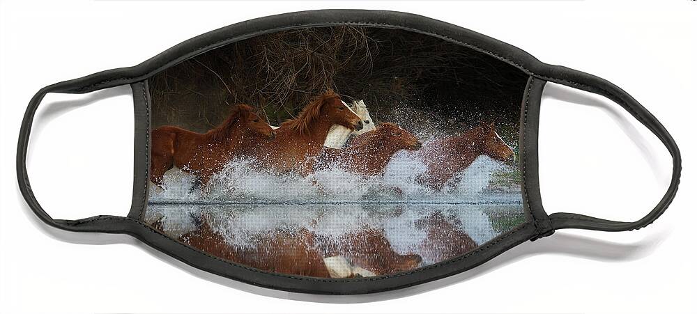 Salt River Wild Horses Face Mask featuring the photograph Reflection by Shannon Hastings