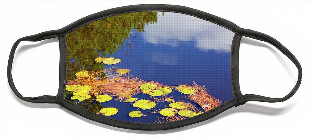 Blue Face Mask featuring the photograph Reflections in a lily pond by Charles Floyd