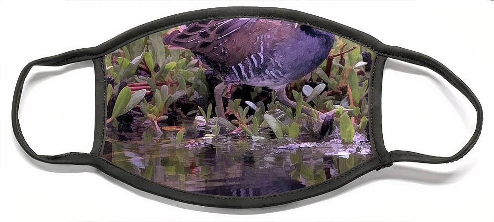 Sora Rail Face Mask featuring the photograph Reflections of a Sora Rail by Jaki Miller