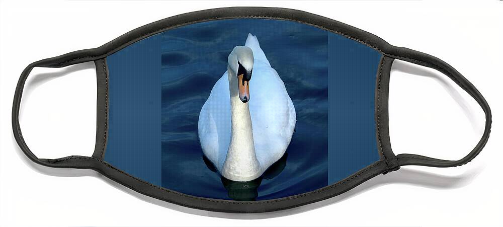 Nature Face Mask featuring the photograph Regal Swan by Stephen Melia
