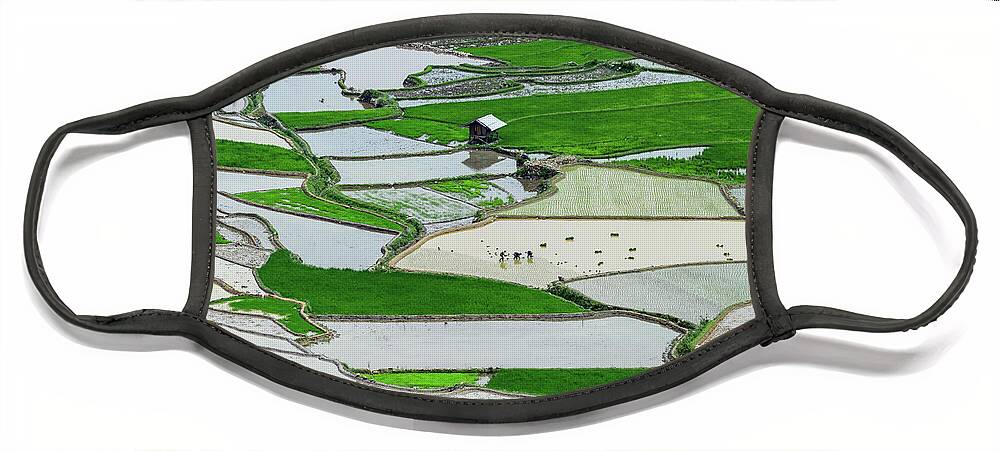 Incredible Face Mask featuring the photograph Rice Paddy And Terraces by Khanh Bui Phu