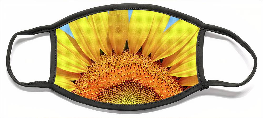 Sunflower Face Mask featuring the photograph Rise And Shine by Lens Art Photography By Larry Trager