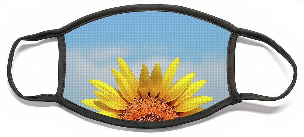 Sunflower Face Mask featuring the photograph Rising Sun by Lens Art Photography By Larry Trager