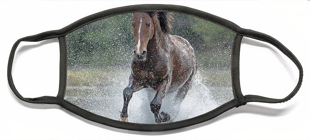 Stallion Face Mask featuring the photograph River Run. by Paul Martin