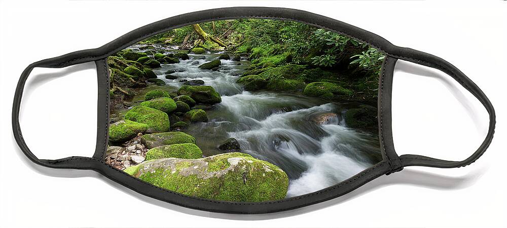 Smokies Face Mask featuring the photograph Roadside Waterway by Phil Perkins
