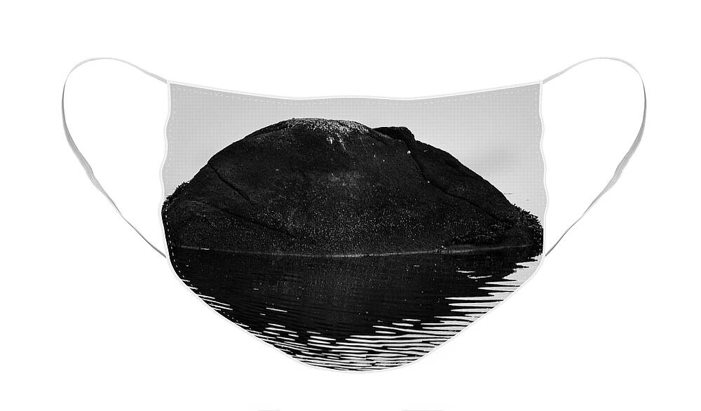 Abstract Face Mask featuring the photograph Rock and Reflection BW by David Gordon