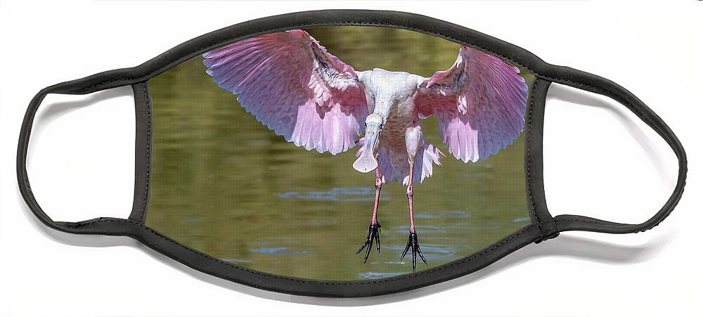 Roseate Spoonbill Face Mask featuring the photograph Roseate Spoonbill 7995-102320-2 by Tam Ryan