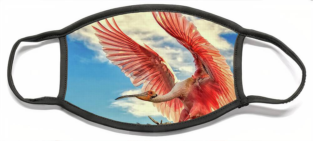 Birds Face Mask featuring the photograph Roseate Spoonbill by DB Hayes