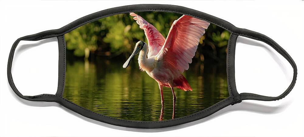 Bird Face Mask featuring the photograph Roseate Spoonbill by Doug McPherson