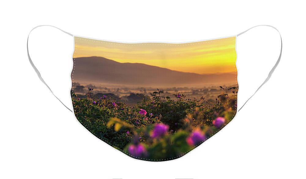 Bulgaria Face Mask featuring the photograph Roses Valley by Evgeni Dinev