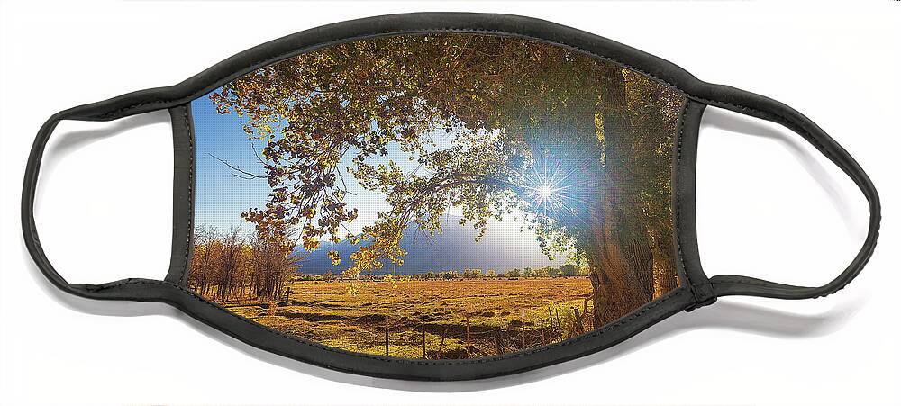 Eastern Sierra Face Mask featuring the photograph Round Valley by Tassanee Angiolillo
