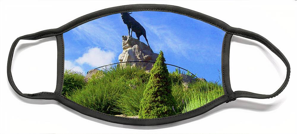 Monument Face Mask featuring the photograph Royal Newfoundland Regiment by Mary Mikawoz