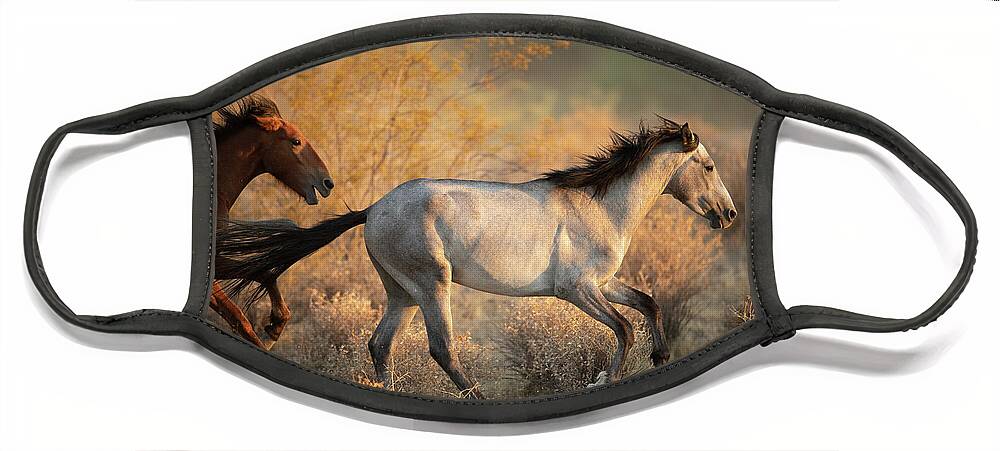 Salt River Wild Horses Face Mask featuring the photograph Running Free by Shannon Hastings