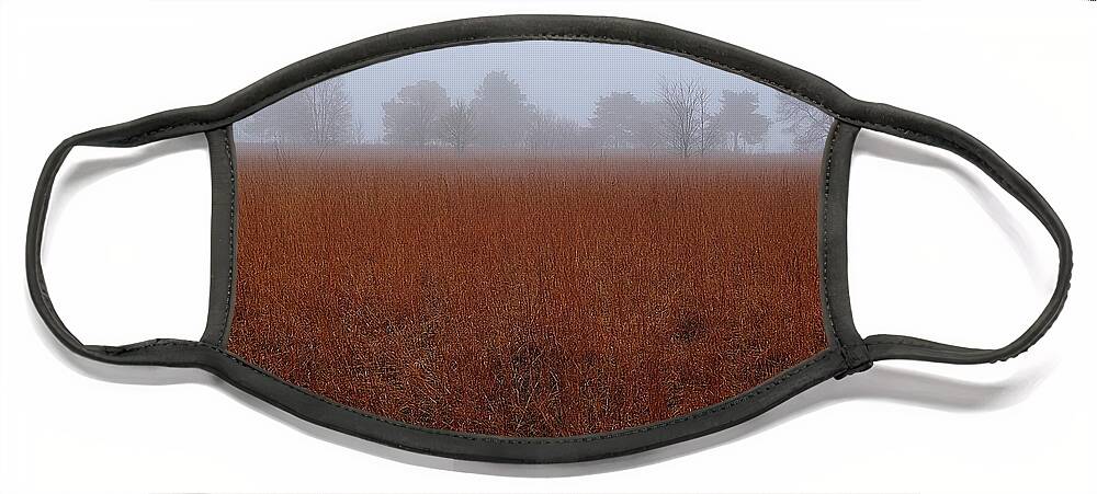 Field Face Mask featuring the photograph Rural Field and Trees by Randy Pollard