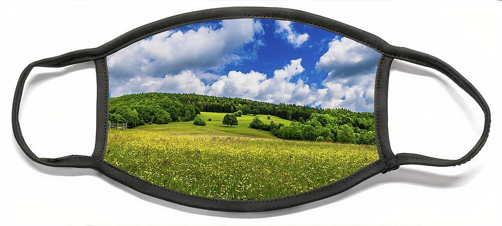 Austria Face Mask featuring the photograph Rural Landscape With Forest And Flower Meadow At Cloudy Weather In Austria by Andreas Berthold